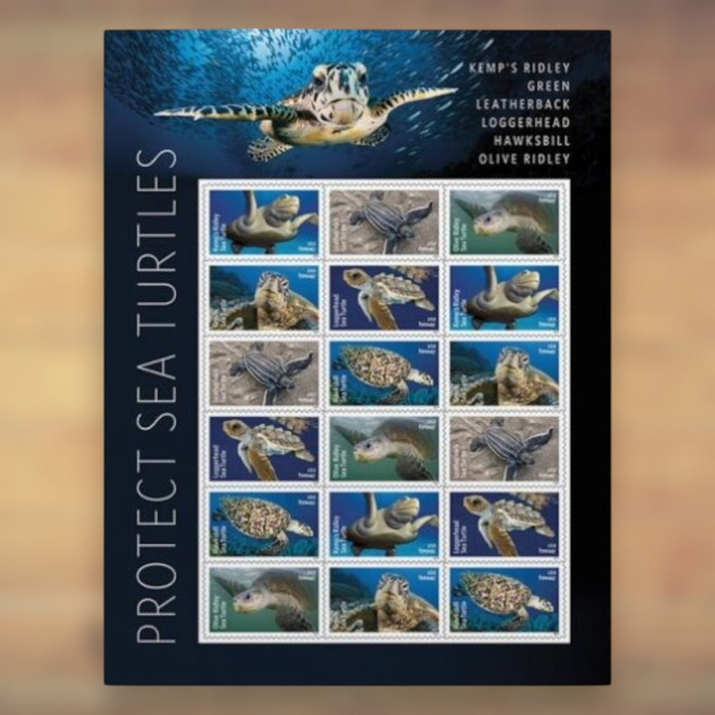 Protect Sea Turtles Forever Stamps, 2024 Sheet – Cards, Letters and Stamp Collecting