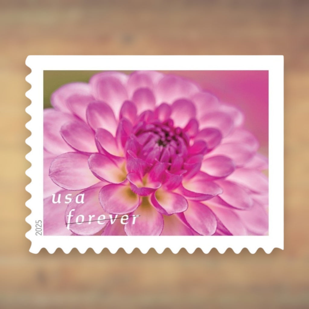 Dahlias Forever Stamps, 2025 Booklet – Greeting Cards, Letters and Everyday Mail