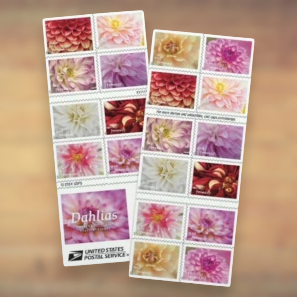 Dahlias Forever Stamps, 2025 Booklet – Greeting Cards, Letters and Everyday Mail