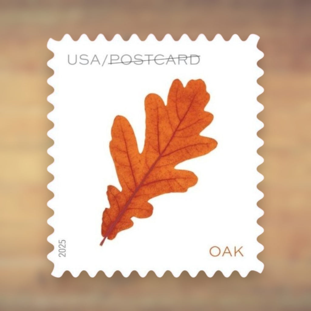 Vibrant Leaves Postcard Rate Stamps, 2025 Sheet – Postcards and Postcard Greetings