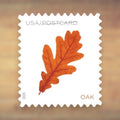 Vibrant Leaves Postcard Rate Stamps, 2025 Sheet – Postcards and Postcard Greetings