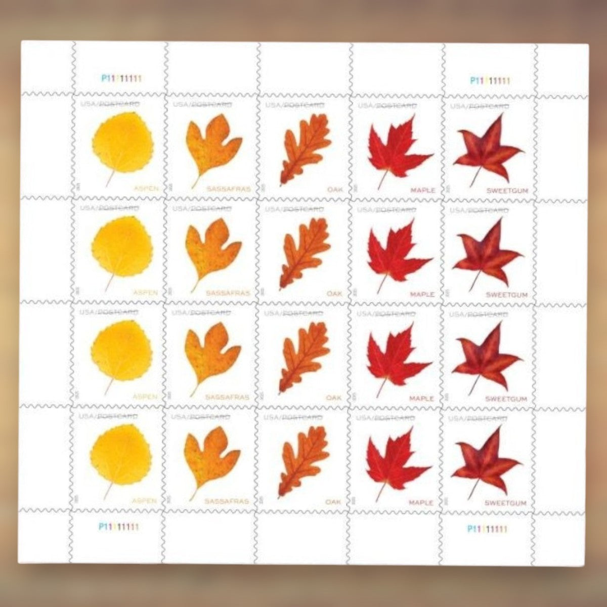 Vibrant Leaves Postcard Rate Stamps, 2025 Sheet – Postcards and Postcard Greetings