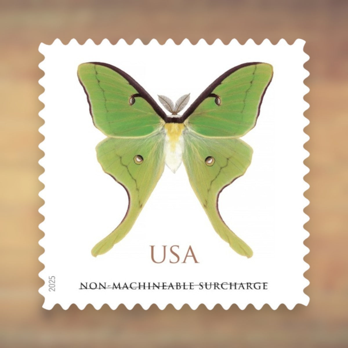 2025 Luna Moth Non-Machinable Surcharge Postage Stamps Sheet First-Class