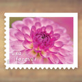 2025 Dahlias Forever Postage Stamps Booklet First-Class