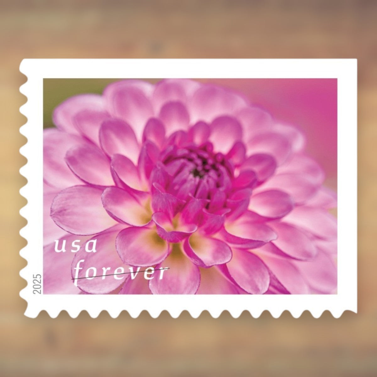 2025 Dahlias Forever Postage Stamps Booklet First-Class