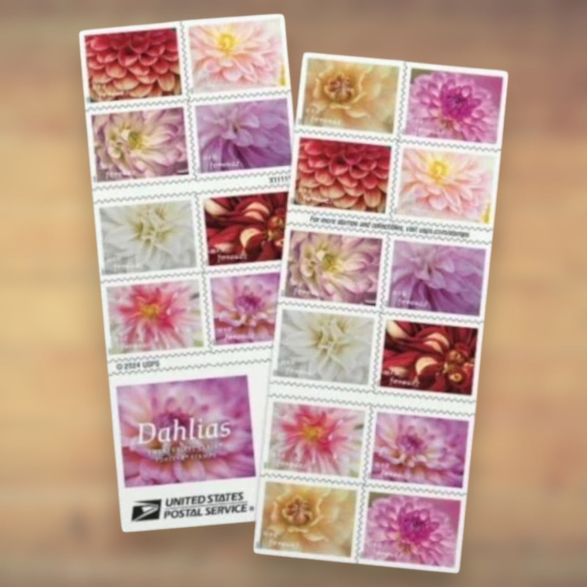 2025 Dahlias Forever Postage Stamps Booklet First-Class