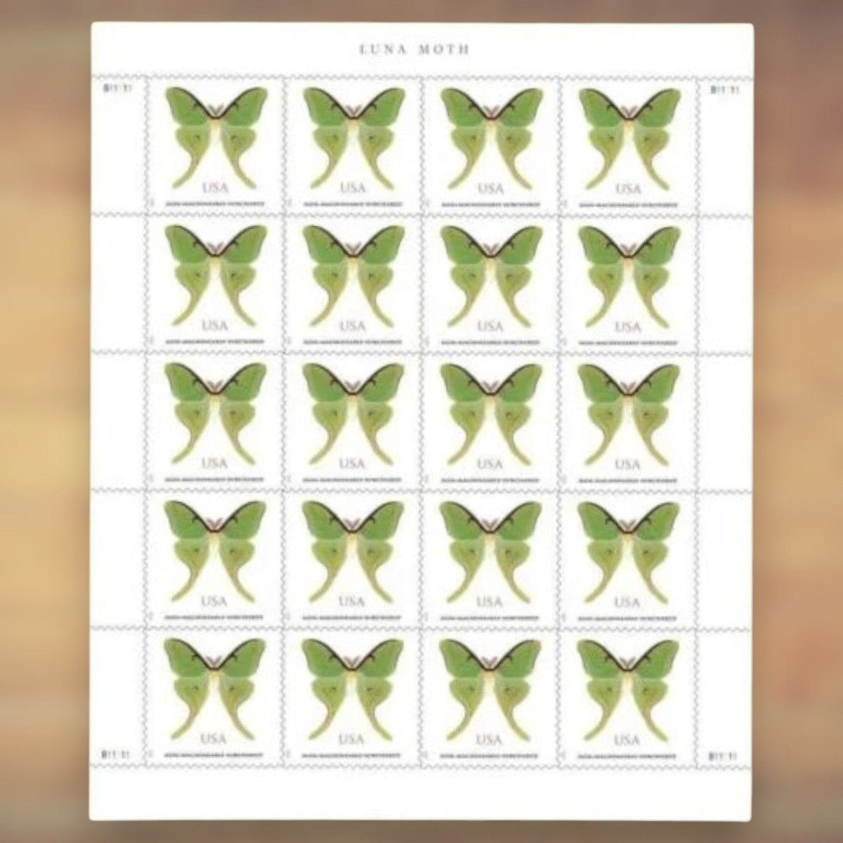 2025 Luna Moth Non-Machinable Surcharge Postage Stamps Sheet First-Class