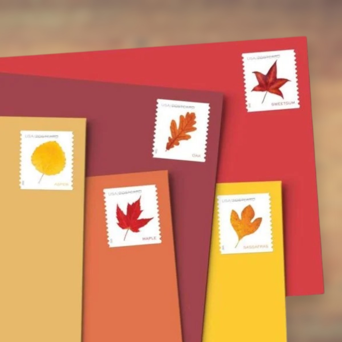 2025 Autumn Leaves Postcard Postage Stamps Coil First-Class Rate