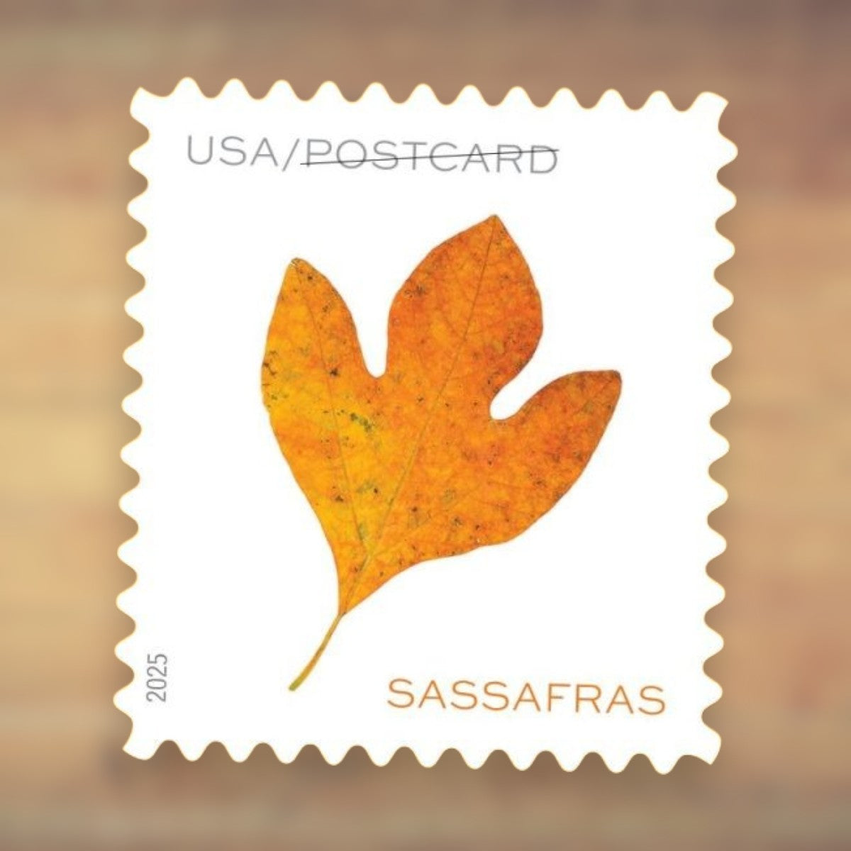 2025 Autumn Leaves Postcard Postage Stamps Coil First-Class Rate