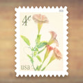 Angel’s Trumpets 4¢ Postage Stamps, 2026 Sheet – Additional Postage for Cards and Letters