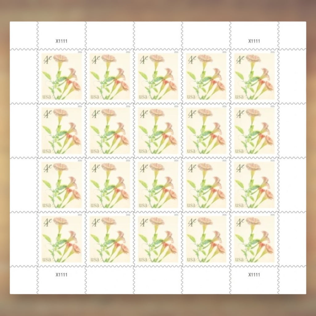 Angel’s Trumpets 4¢ Postage Stamps, 2026 Sheet – Additional Postage for Cards and Letters