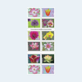 2021 Garden Beauty Forever Stamps: Self-Adhesive Booklets for First-Class Mail, product image 1