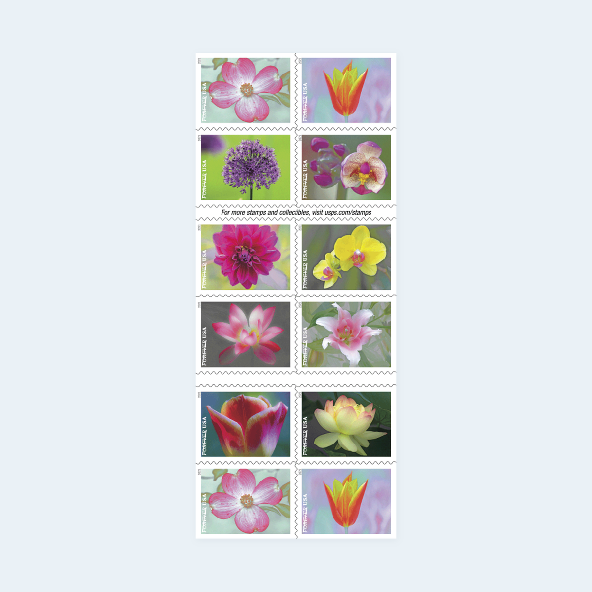 2021 Garden Beauty Forever Stamps: Self-Adhesive Booklets for First-Class Mail, product image 1