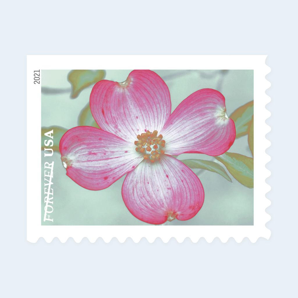 2021 Garden Beauty Forever Stamps: Self-Adhesive Booklets for First-Class Mail, product image 2