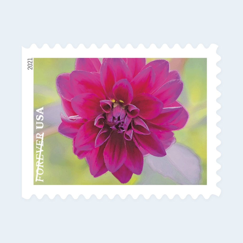 2021 Garden Beauty Forever Stamps: Self-Adhesive Booklets for First-Class Mail, product image 3