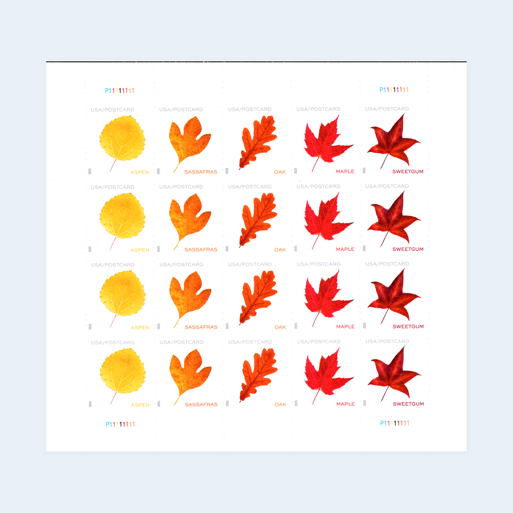 2025 Vibrant Leaves Postcard Stamps: Self-Adhesive Sheet for Domestic Postcards, product image 1