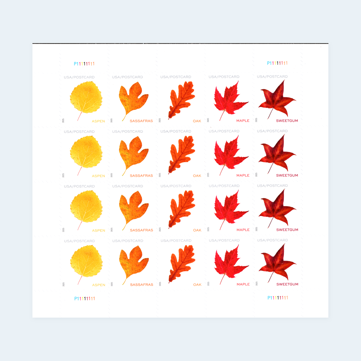2025 Vibrant Leaves Postcard Stamps: Self-Adhesive Sheet for Domestic Postcards, product image 1
