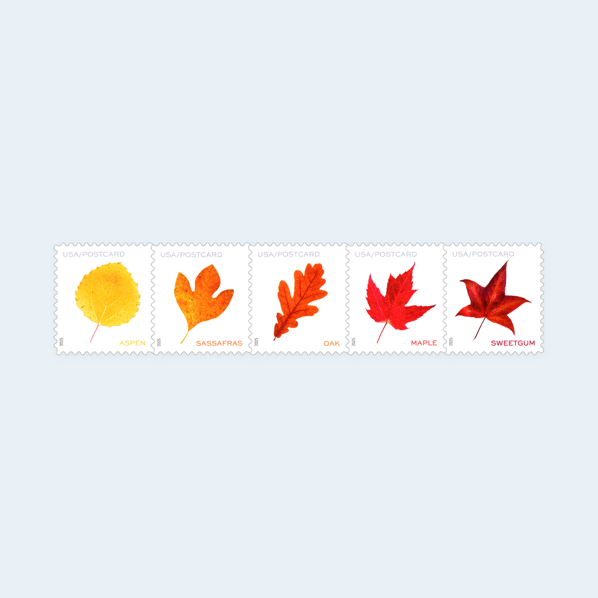 2025 Vibrant Leaves Postcard Stamps: Self-Adhesive Sheet for Domestic Postcards, product image 2