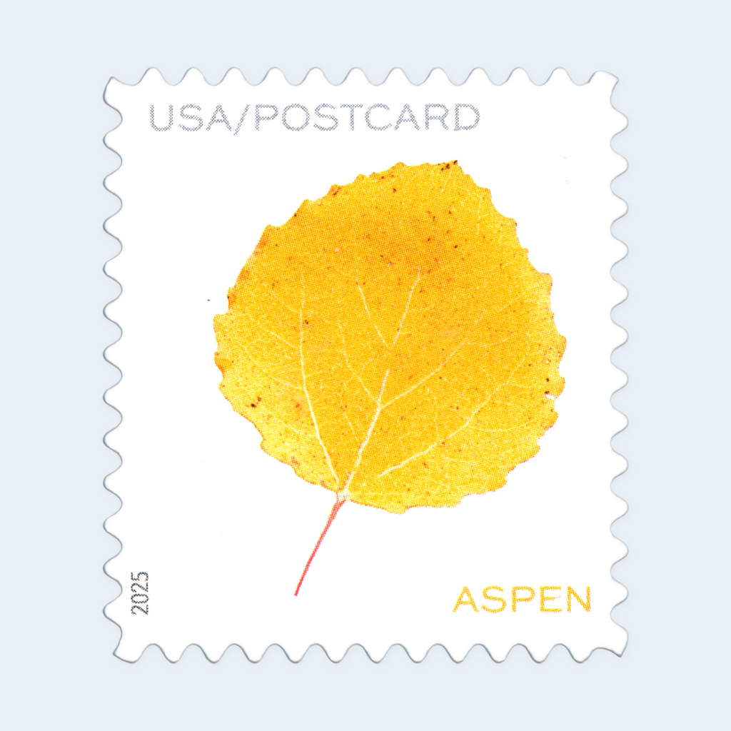 2025 Vibrant Leaves Postcard Stamps: Self-Adhesive Sheet for Domestic Postcards, product image 3
