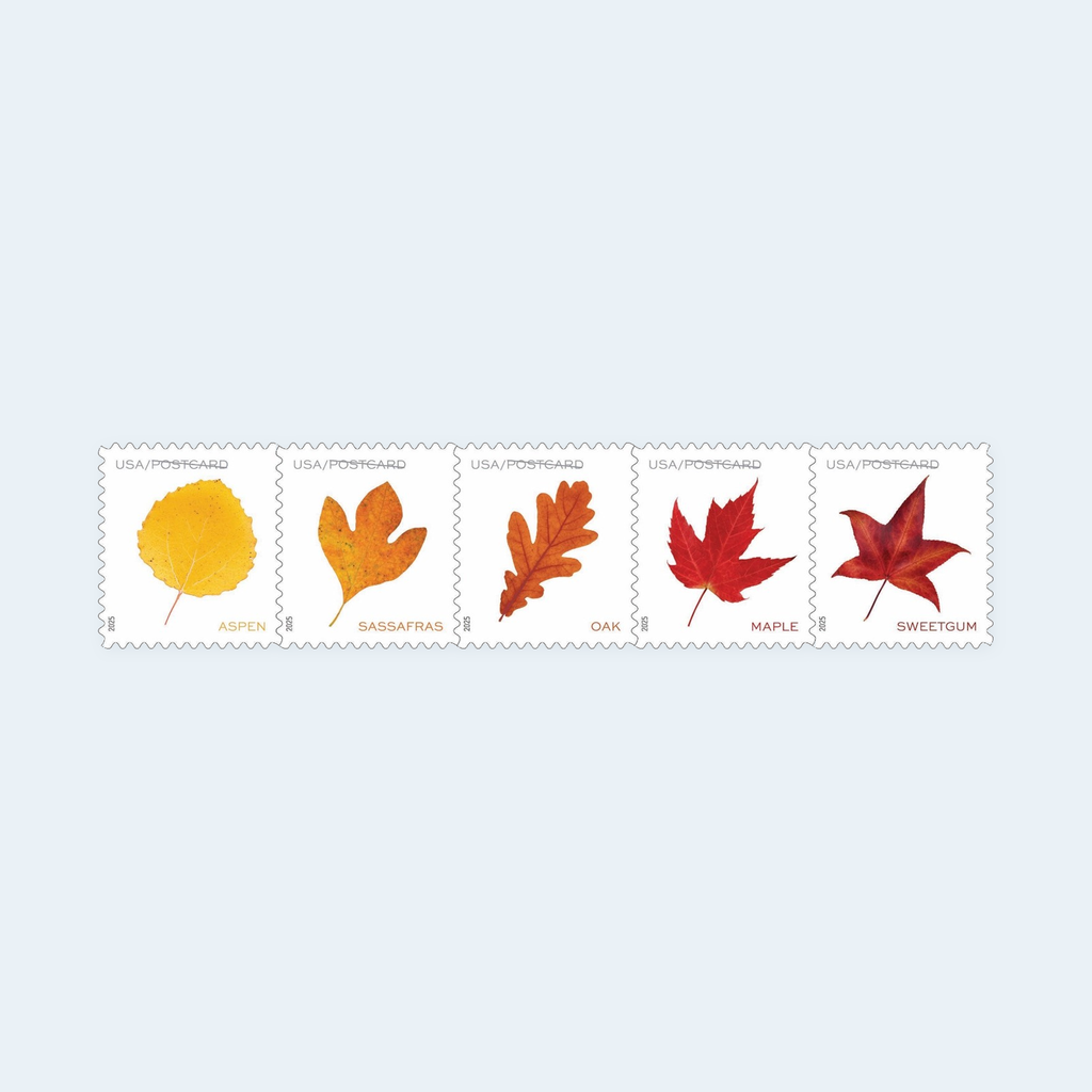 2025 Vibrant Leaves Postcard Stamps: Self-Adhesive Roll for Domestic Postcards, product image 2
