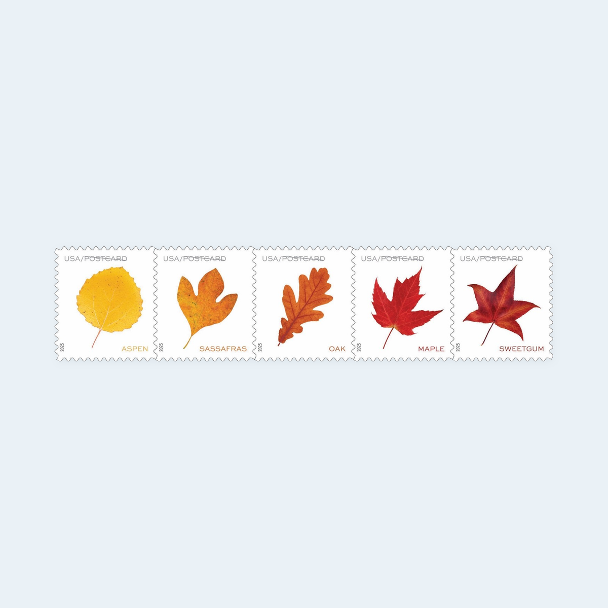 2025 Vibrant Leaves Postcard Stamps: Self-Adhesive Roll for Domestic Postcards, product image 2