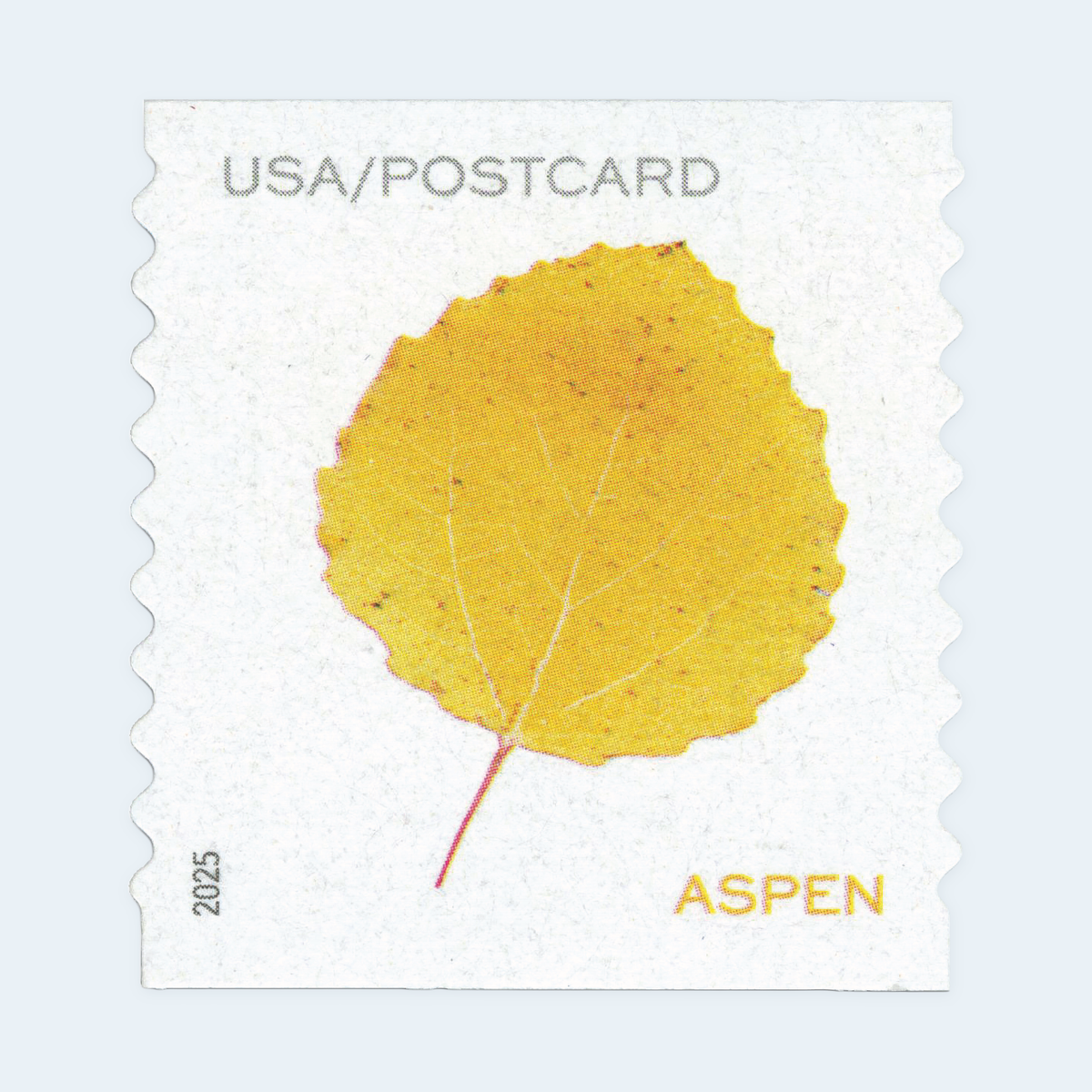 2025 Vibrant Leaves Postcard Stamps: Self-Adhesive Roll for Domestic Postcards, product image 3