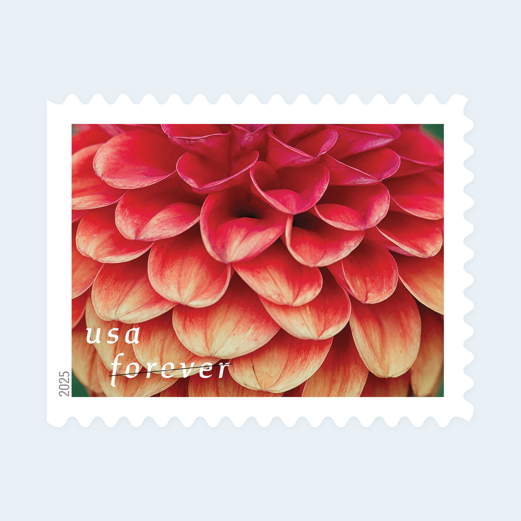 2025 Dahlias Forever Stamps: Self-Adhesive Booklets for First-Class Mail, product image 2