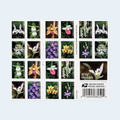 2020 Wild Orchids Forever Stamps: Self-Adhesive Booklets for First-Class Mail, product image 1