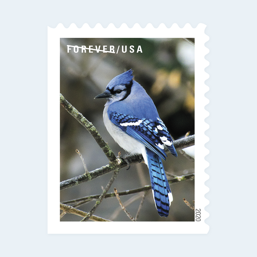 2020 Winter Scenes Forever Stamps: Self-Adhesive Booklet for First-Class Mail, product image 2