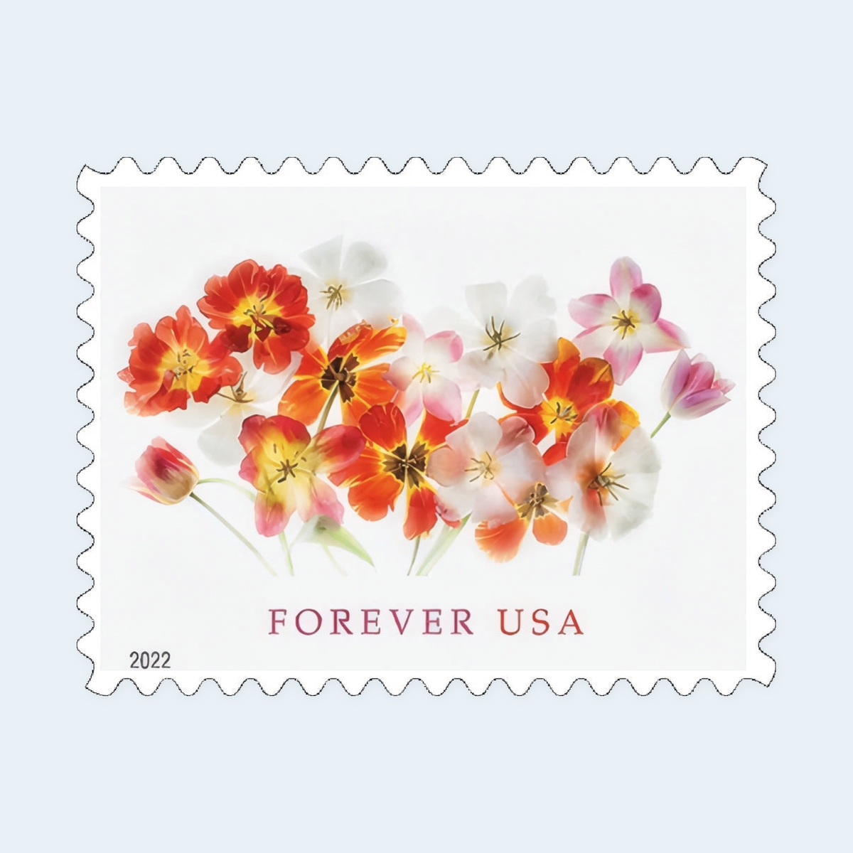 2022 Tulips Forever Stamps: Self-Adhesive Sheets for First-Class Mail, product image 2