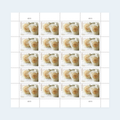 2011 Wedding Roses Forever Stamps: Self-Adhesive Sheets for First-Class Mail, product image 1