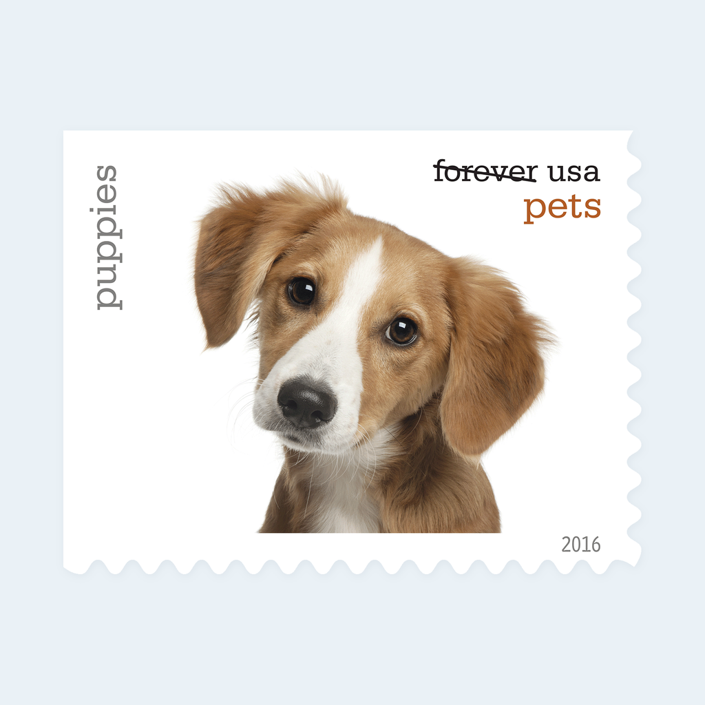 2016 Pets Forever Stamps: Self-Adhesive Booklet for First-Class Mail, product image 2
