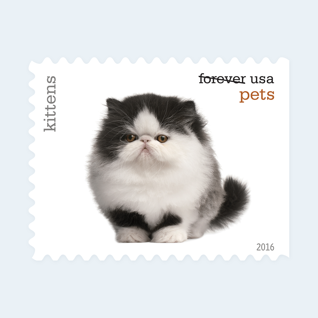2016 Pets Forever Stamps: Self-Adhesive Booklet for First-Class Mail, product image 4