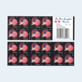 2014 The Star-Spangled Banner Forever Stamps: Self-Adhesive Booklet for First-Class Mail, product image 1