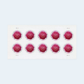 2020 Chrysanthemum Global Forever Stamps: Self-Adhesive Sheet for International Mail, product image 1