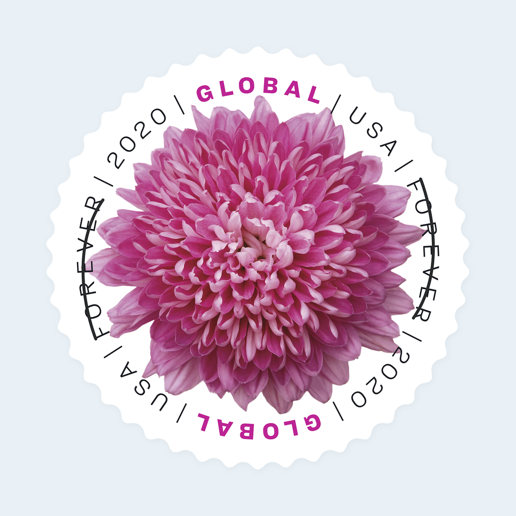 2020 Chrysanthemum Global Forever Stamps: Self-Adhesive Sheet for International Mail, product image 2