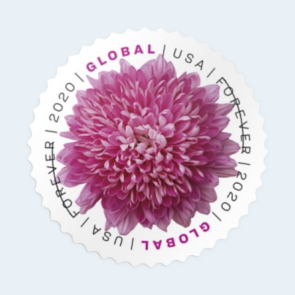 2020 Chrysanthemum Global Forever Stamps: Self-Adhesive Sheet for International Mail, product image 3