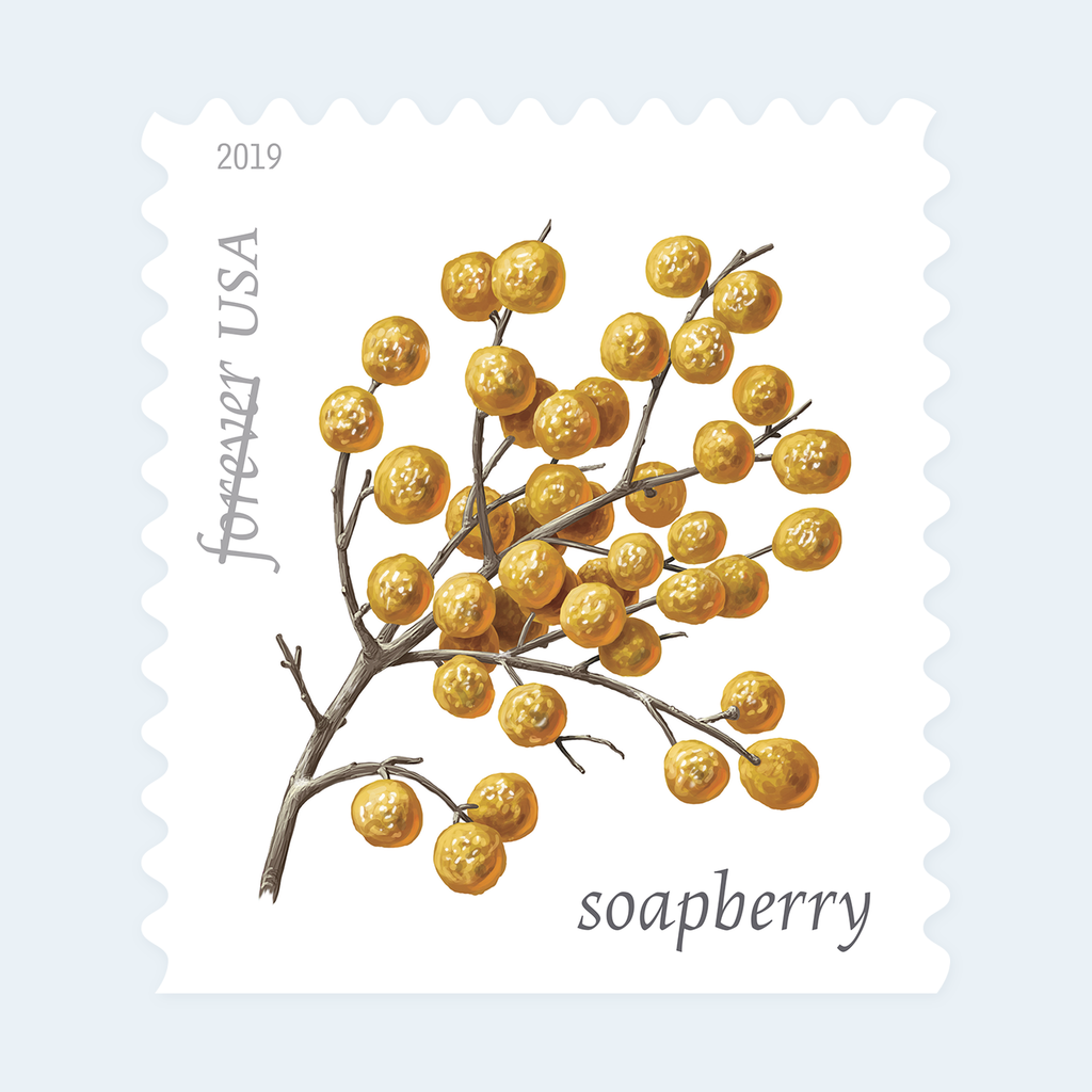 2019 Winter Berries Forever Stamps: Self-Adhesive Booklet for First-Class Mail, product image 2