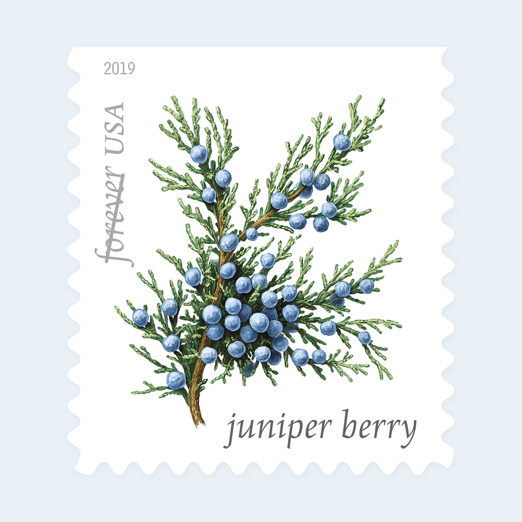 2019 Winter Berries Forever Stamps: Self-Adhesive Booklet for First-Class Mail, product image 3