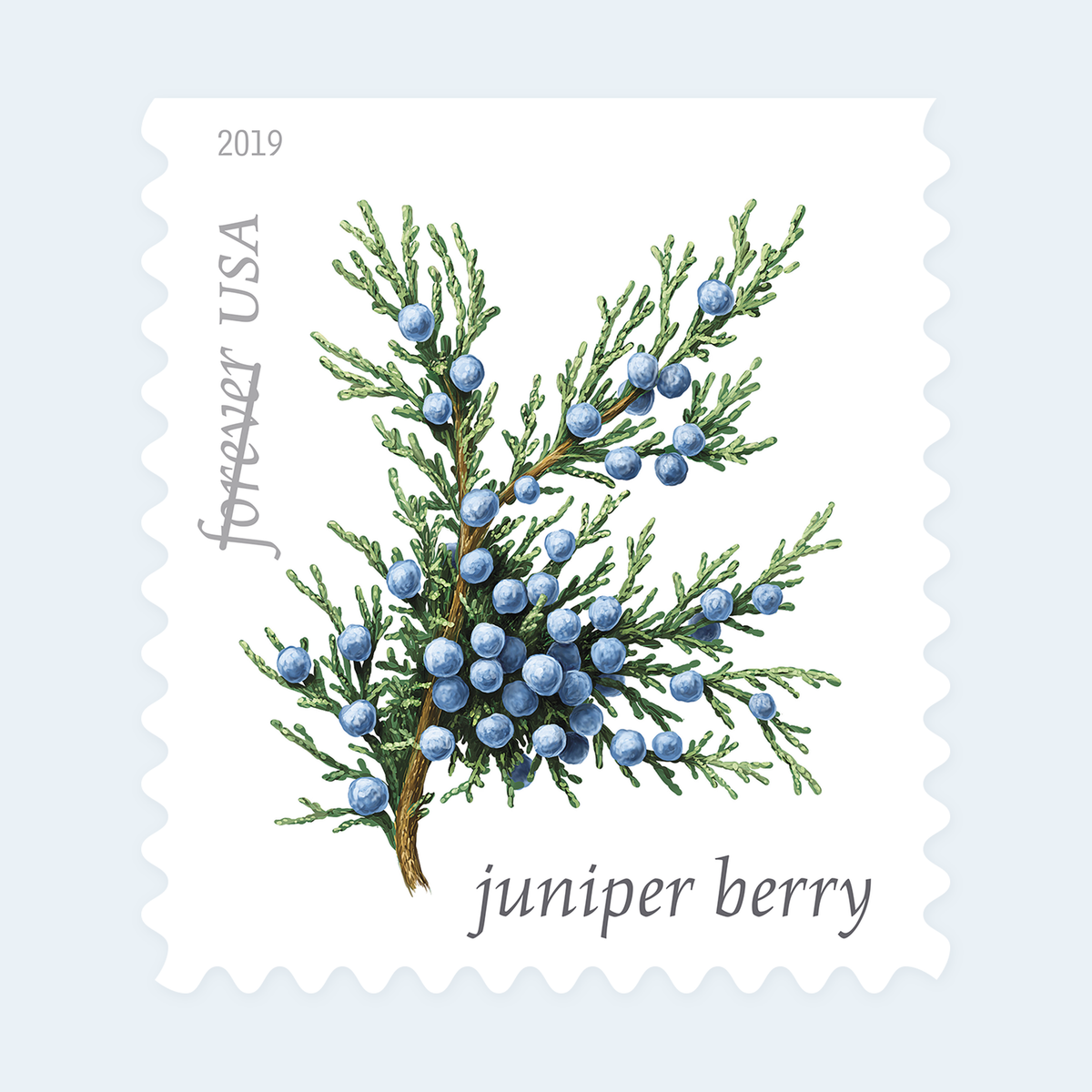 2019 Winter Berries Forever Stamps: Self-Adhesive Booklet for First-Class Mail, product image 3