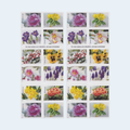 2022 Snowy Beauty Forever Stamps: Self-Adhesive Booklets for First-Class Mail, product image 1