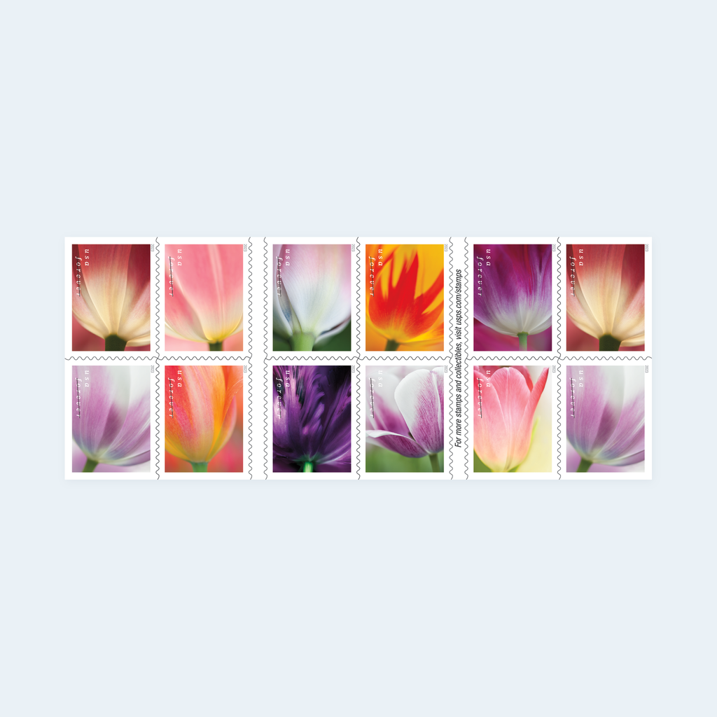 2023 Tulip Blossoms Forever Stamps: Self-Adhesive Booklets for First-Class Mail, product image 1