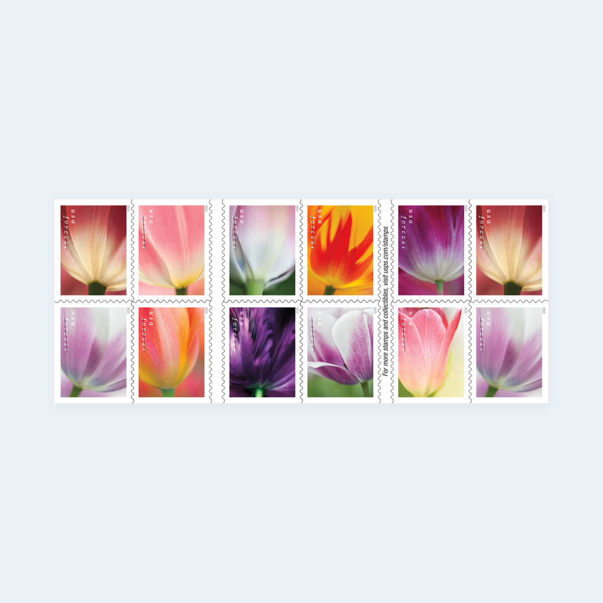 2023 Tulip Blossoms Forever Stamps: Self-Adhesive Booklets for First-Class Mail, product image 1