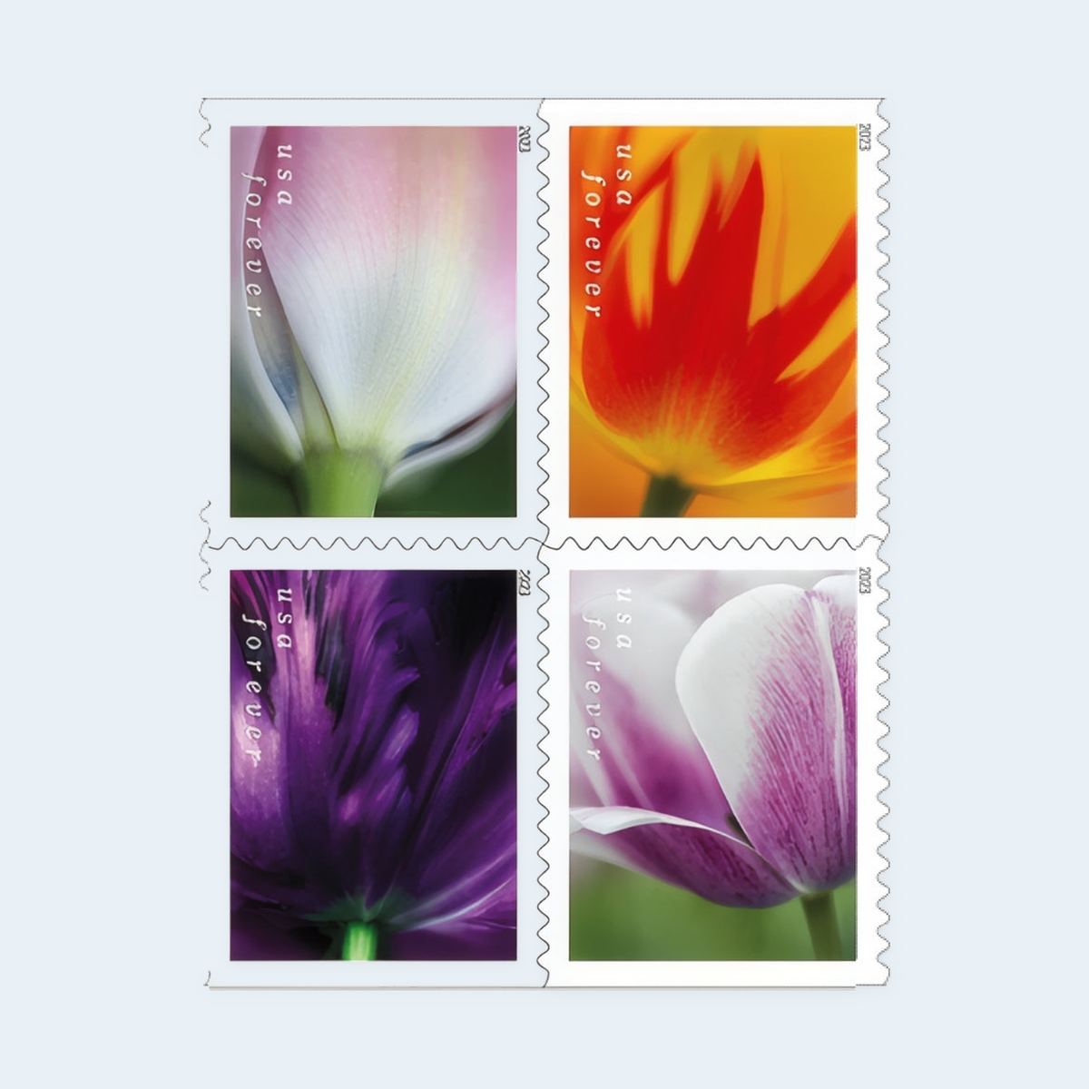 2023 Tulip Blossoms Forever Stamps: Self-Adhesive Booklets for First-Class Mail, product image 2