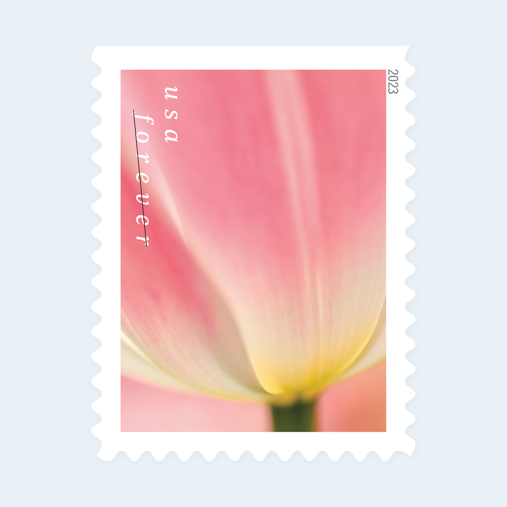 2023 Tulip Blossoms Forever Stamps: Self-Adhesive Booklets for First-Class Mail, product image 3
