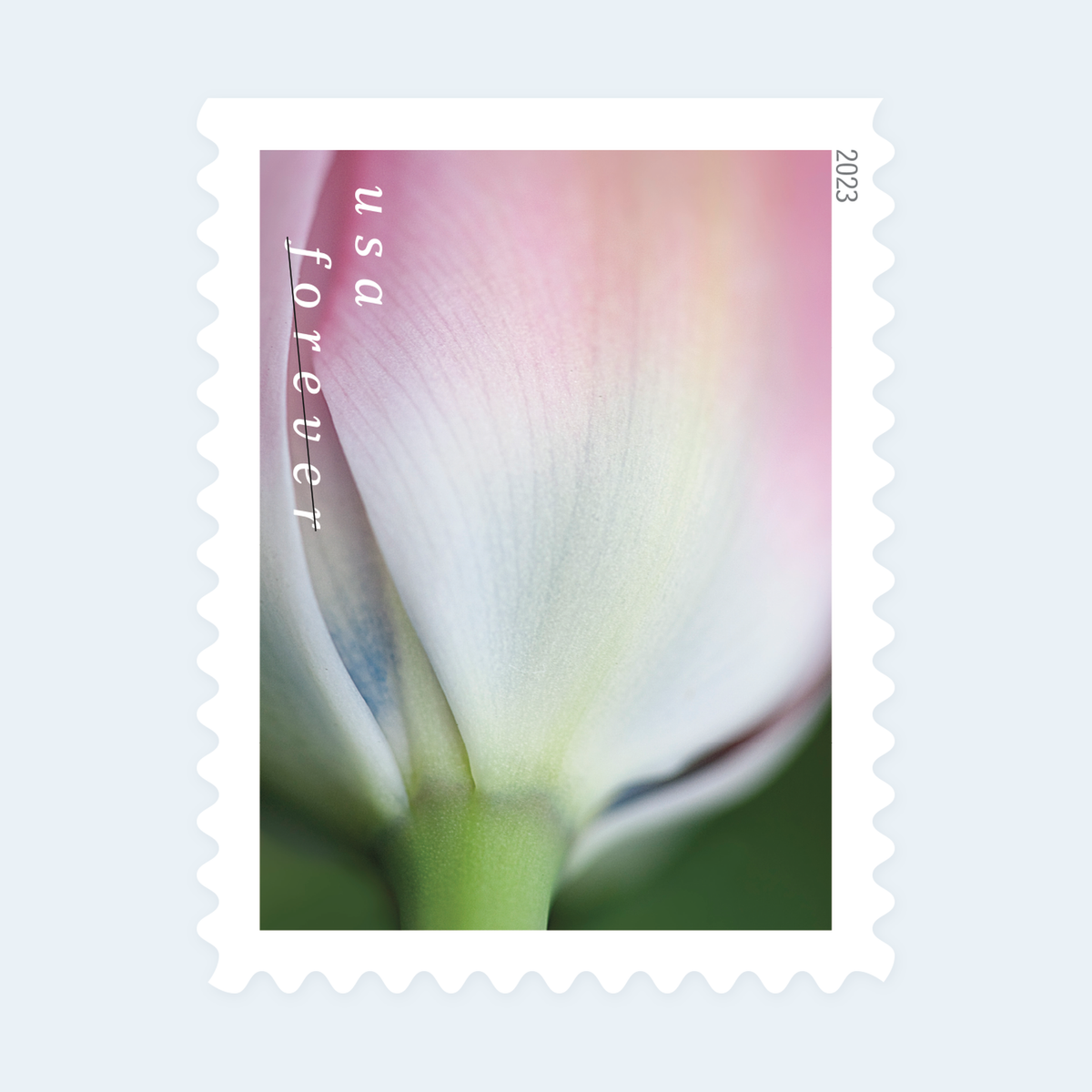 2023 Tulip Blossoms Forever Stamps: Self-Adhesive Booklets for First-Class Mail, product image 4