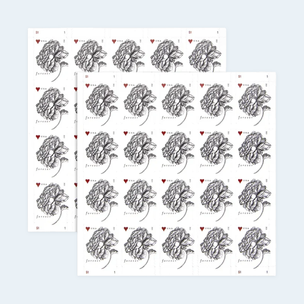 2015 Vintage Rose Forever Stamps: Self-Adhesive Sheets for First-Class Mail, product image 3