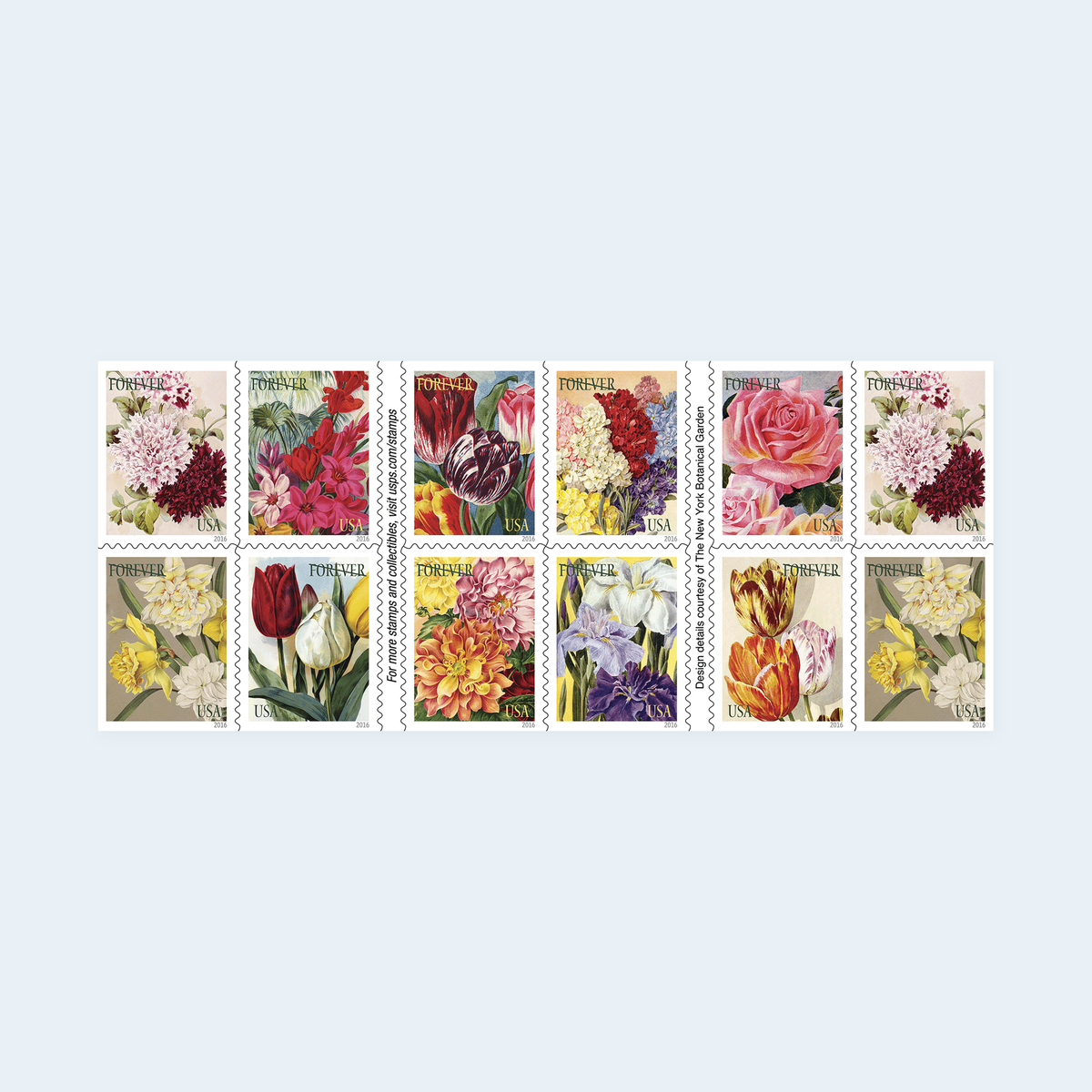 2016 Botanical Art Forever Stamps: Self-Adhesive Booklets for First-Class Mail, product image 2