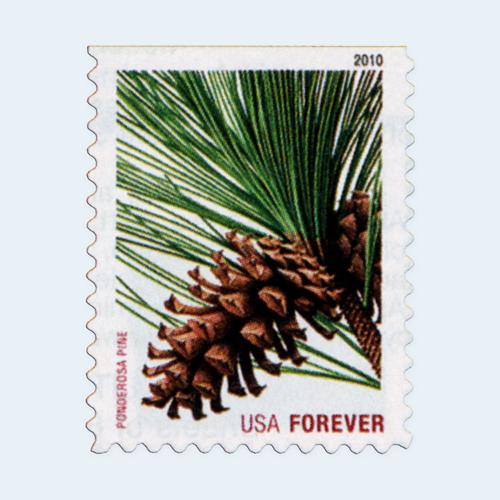 2010 Holiday Evergreens Forever Stamps: Self-Adhesive Booklet for First-Class Mail, product image 2