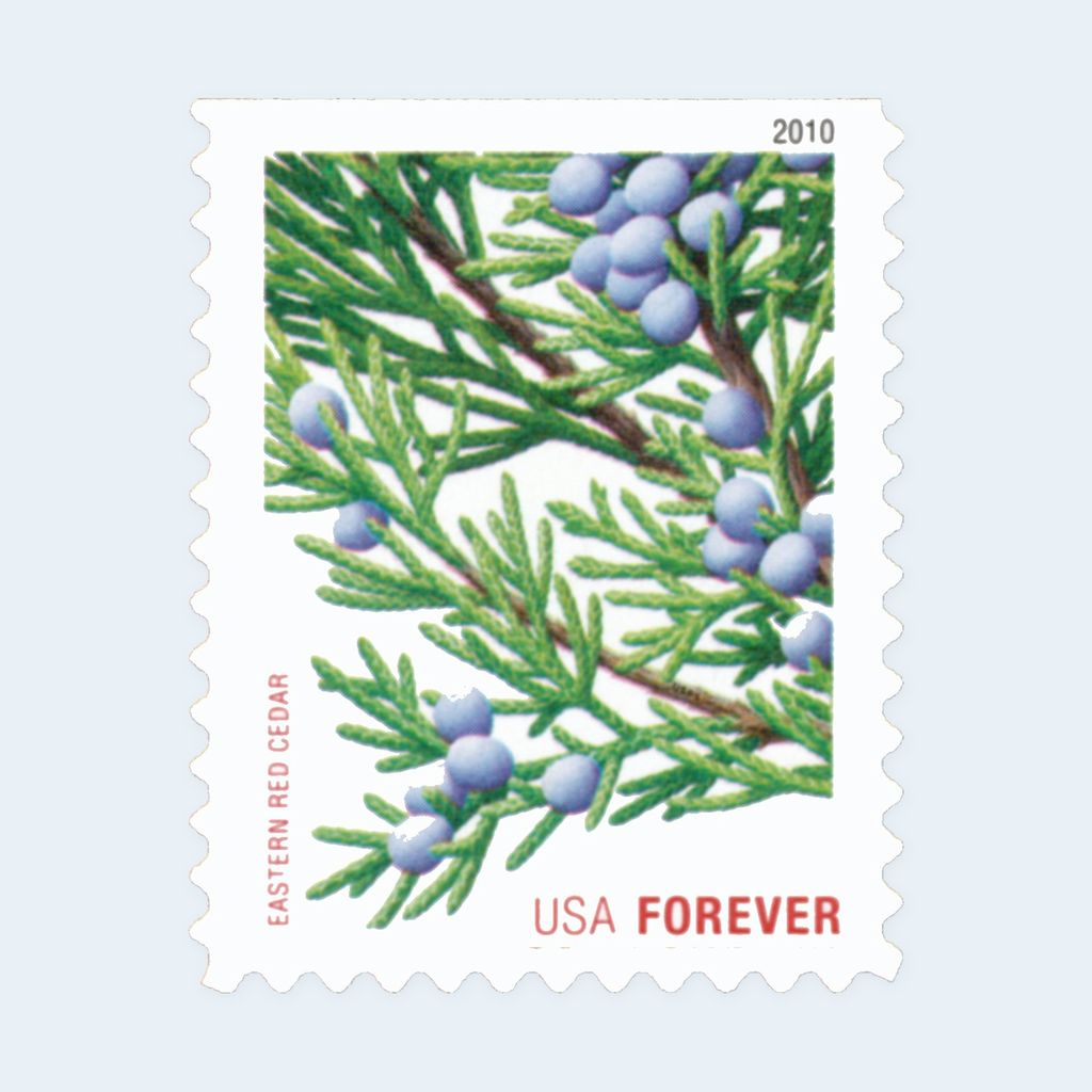 2010 Holiday Evergreens Forever Stamps: Self-Adhesive Booklet for First-Class Mail, product image 3